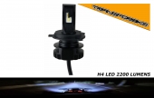 LedS Ampoule - Photo 2 LedS Ampoule - Photo 2